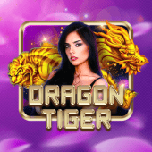 Dragon Tiger live casino on 66win slot