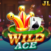 Wild Ace slot game on 66win slot